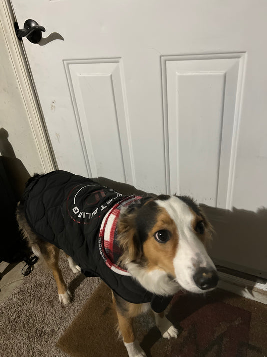 Dog Winter Coat